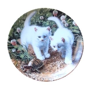 1987 White Kittens Collectors Plate 'A Chance Meeting' Vintage